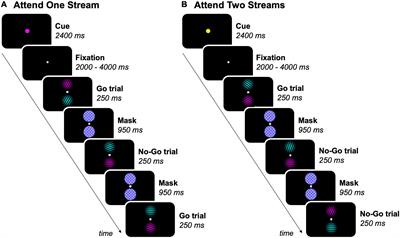 Activity in the Fronto-Parietal and Visual Cortex Is Modulated by Feature-Based Attentional Weighting